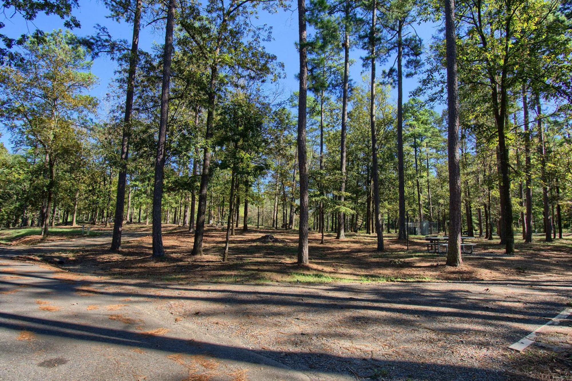 The Americana - Parker Creek Bend Cabins Murfreesboro Luaran gambar