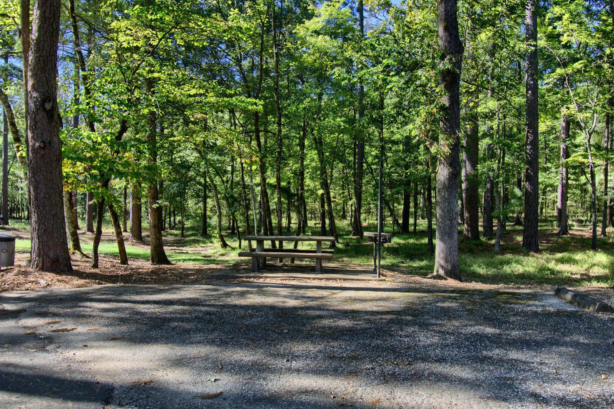 The Americana - Parker Creek Bend Cabins Murfreesboro Luaran gambar